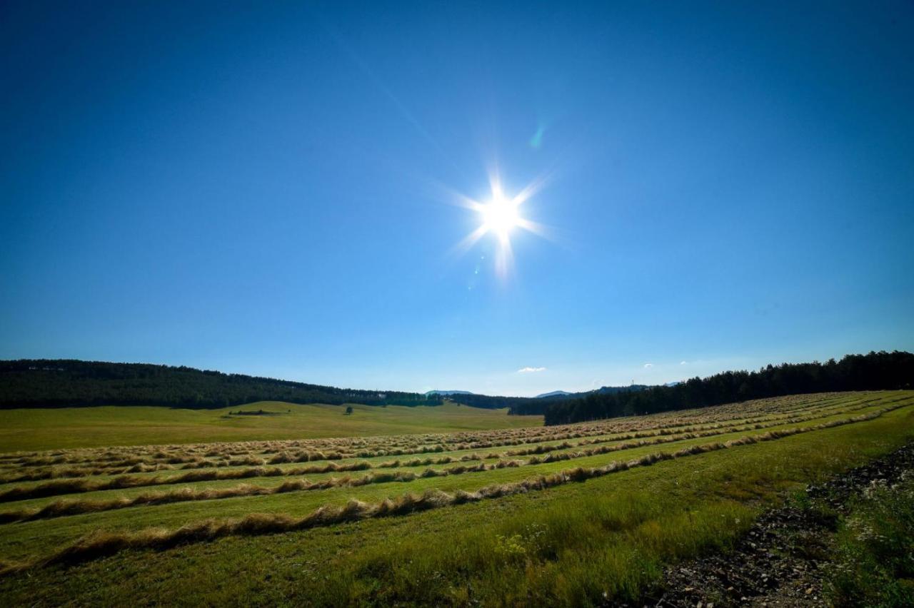 Zlatibor Hills Afrodita & Spa Eksteriør billede